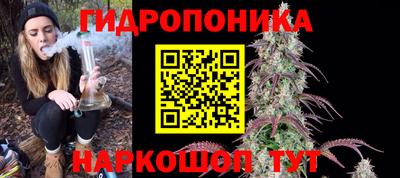 сатива Будённовск