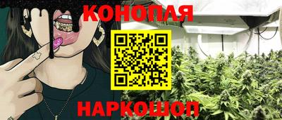 сатива Будённовск