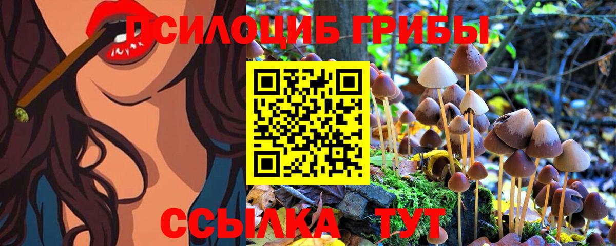 Галлюциногенные грибы Psilocybine cubensis Калуга